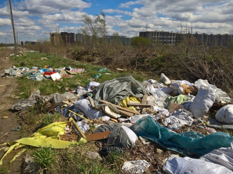 Петербуржцам некуда везти мусор – в городе образуются новые стихийные свалки