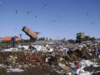 Петербург сможет вывозить тонны бытового мусора
